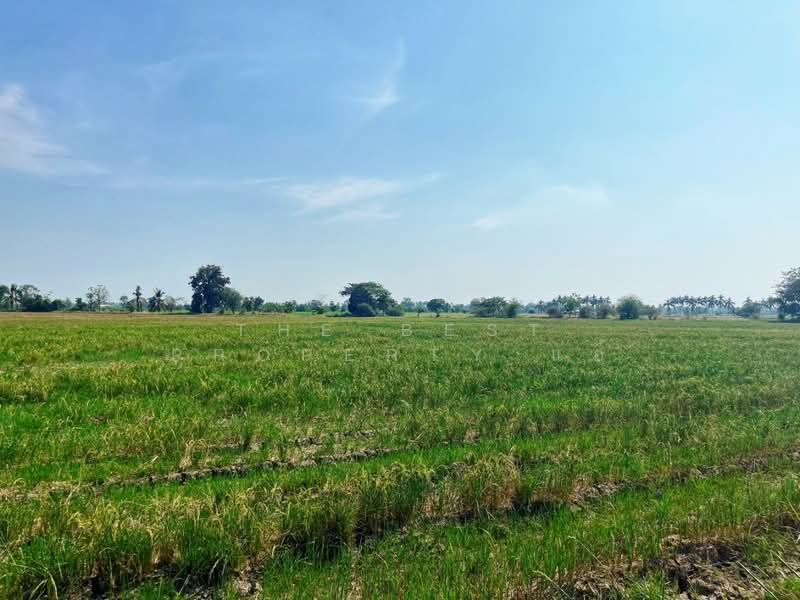 ที่ดินสรรพยา ชัยนาท, Chai Nat, Bang Luang, Sanphaya, Chai Nat, , 13,848 sqm, Land For Sale, by The Best Property แอ้, 500168628 - DDproperty.com