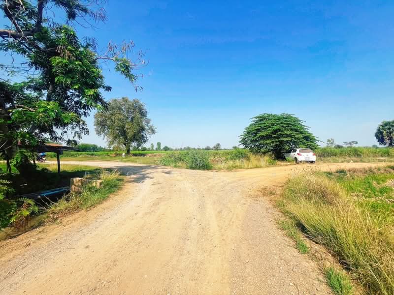ที่ดินสรรพยา ชัยนาท, Chai Nat, Bang Luang, Sanphaya, Chai Nat, , 13,848 sqm, Land For Sale, by The Best Property แอ้, 500168628 - DDproperty.com