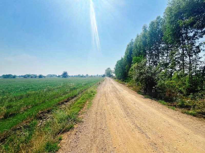 ที่ดินสรรพยา ชัยนาท, Chai Nat, Bang Luang, Sanphaya, Chai Nat, , 13,848 sqm, Land For Sale, by The Best Property แอ้, 500168628 - DDproperty.com