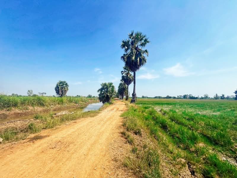 ที่ดินสรรพยา ชัยนาท, ชัยนาท, บางหลวง, สรรพยา, ชัยนาท, 13,848 ตร.ม., ที่ดิน ขาย, โดย The Best Property แอ้, 500168628 - DDproperty.com