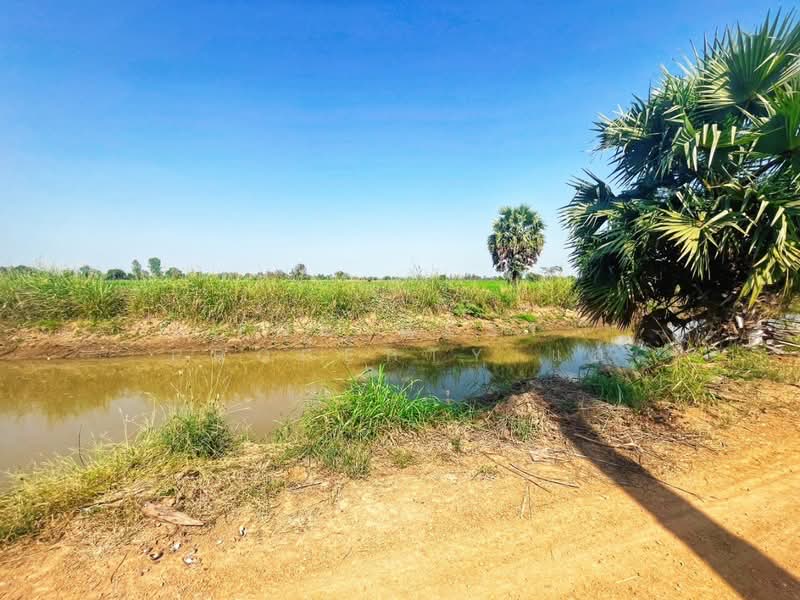 ที่ดินสรรพยา ชัยนาท, Chai Nat, Bang Luang, Sanphaya, Chai Nat, , 13,848 sqm, Land For Sale, by The Best Property แอ้, 500168628 - DDproperty.com