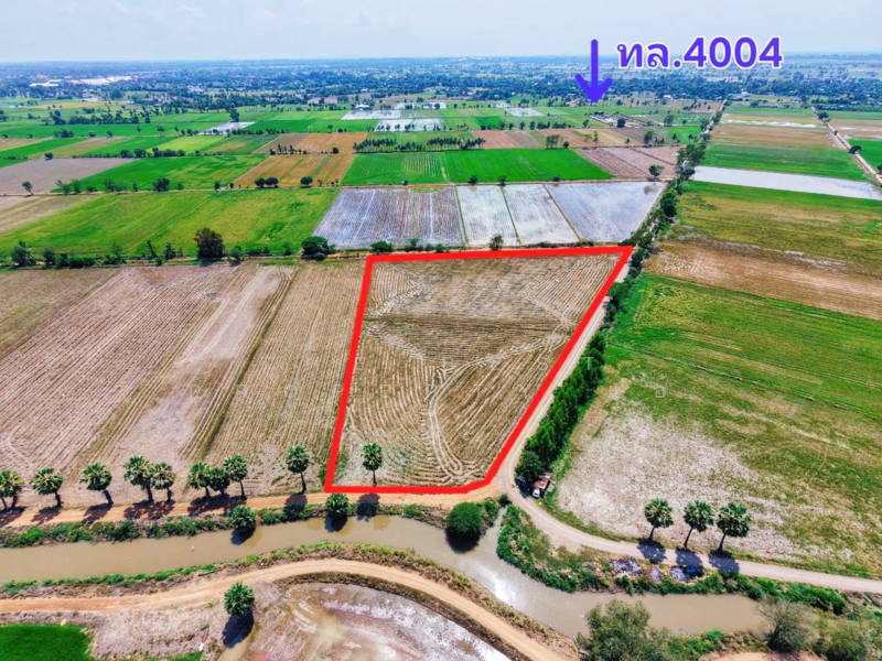 For Sale - ที่ดินสรรพยา ชัยนาท, Chai Nat