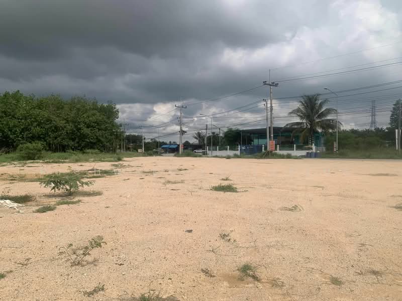 12 rai of land for sale, zoned purple with red termite mound pattern, already filled and leveled,, Rayong, Mapyangphon, Pluak Daeng, Rayong, , 19,248 sqm, Land For Sale, by RICHWELL INTERPLUS, 500168669 - DDproperty.com