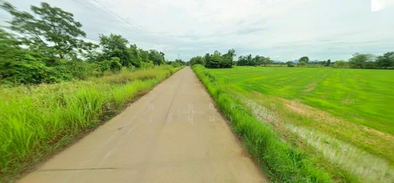 ขาย - ขาย ที่ดิน 13 ไร่ 2 งาน ติดถนนสาธารณะคอนกรีต โฉนดครุฑแดง ต.บ้านไร่ อ.ลาดยาว จ.นครสวรรค์, นครสวรรค์