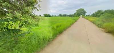 ขาย - ขาย ที่ดิน 13 ไร่ 2 งาน ติดถนนสาธารณะคอนกรีต โฉนดครุฑแดง ต.บ้านไร่ อ.ลาดยาว จ.นครสวรรค์, นครสวรรค์