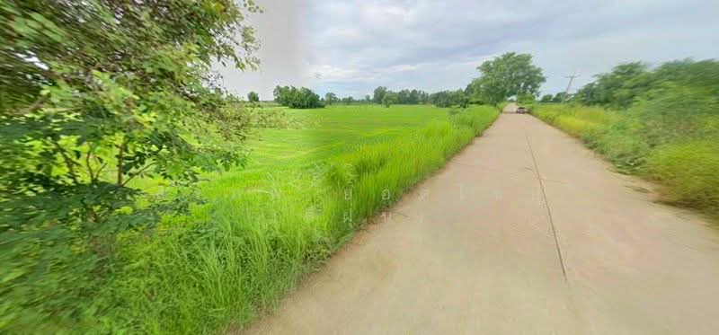 ขาย - ขาย ที่ดิน 13 ไร่ 2 งาน ติดถนนสาธารณะคอนกรีต โฉนดครุฑแดง ต.บ้านไร่ อ.ลาดยาว จ.นครสวรรค์, นครสวรรค์