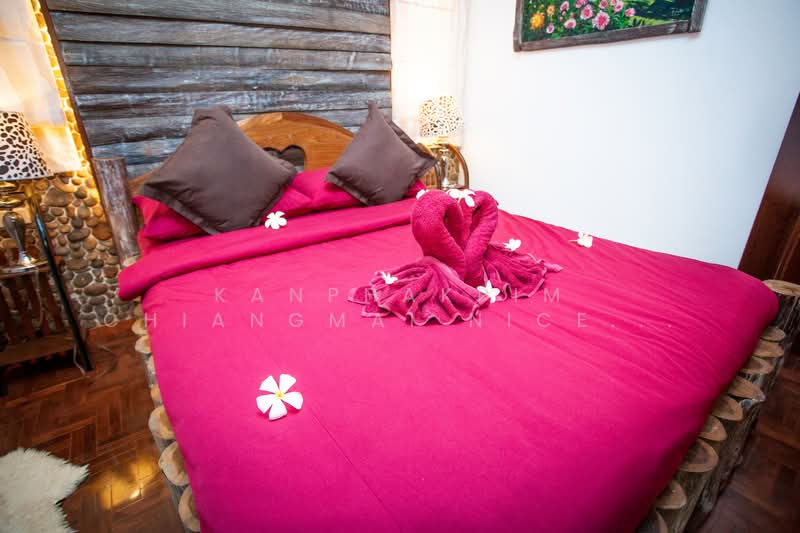 House and Hotel business for sale with good location, เชียงใหม่, วัดเกต, เมืองเชียงใหม่, เชียงใหม่, 1,000 ตร.ม., กิจการ ขาย, โดย Kanphakpim Chiangmai Nice Home, 500168705 - DDproperty.com