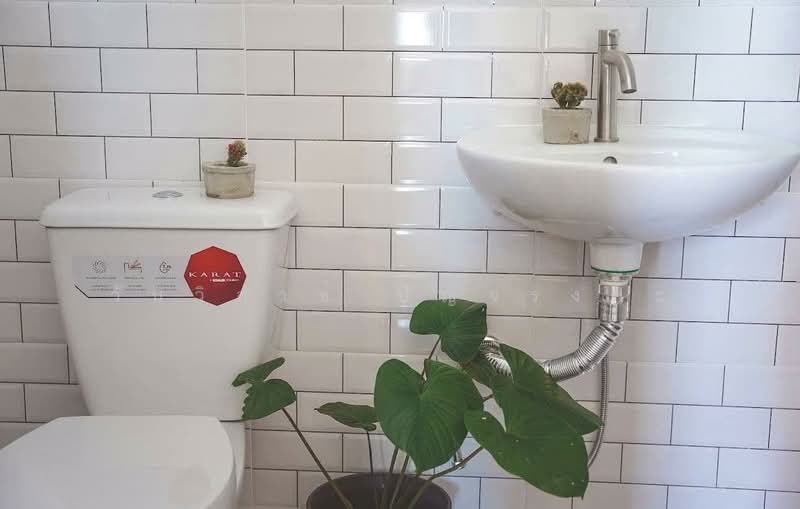 WPDD-073 อพาร์ทเม้นท์ 3 ชั้น ถนนรังสิต-นครนายก ทั้งหมด 24 ห้อง, Pathum Thani, Bang Yitho, Thanyaburi, Pathum Thani, , 416 sqm, Shophouse For Sale, by วันวิสาข์ ปัญจรงคะ, 500168710 - DDproperty.com