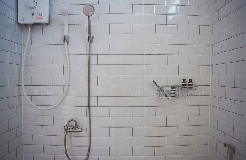 WPDD-077 อพาร์ทเม้นท์ 3 ชั้น ถนนรังสิต-นครนายก ทั้งหมด 24 ห้อง, ปทุมธานี, บึงยี่โถ, ธัญบุรี, ปทุมธานี, 416 ตร.ม., ตึกแถว-อาคารพาณิชย์ ขาย, โดย วันวิสาข์ ปัญจรงคะ, 500168710 - DDproperty.com