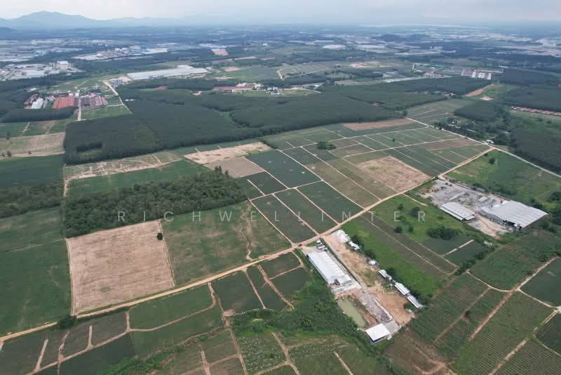 498 rai of purple zone land for sale, 9 km from Eastern Seaboard Industrial Estate, Nong Kham,, Chon Buri (Pattaya), Nong - Kham, Si Racha, Chon Buri (Pattaya), , 796,800 sqm, Land For Sale, by richwellinter, 500168719 - DDproperty.com