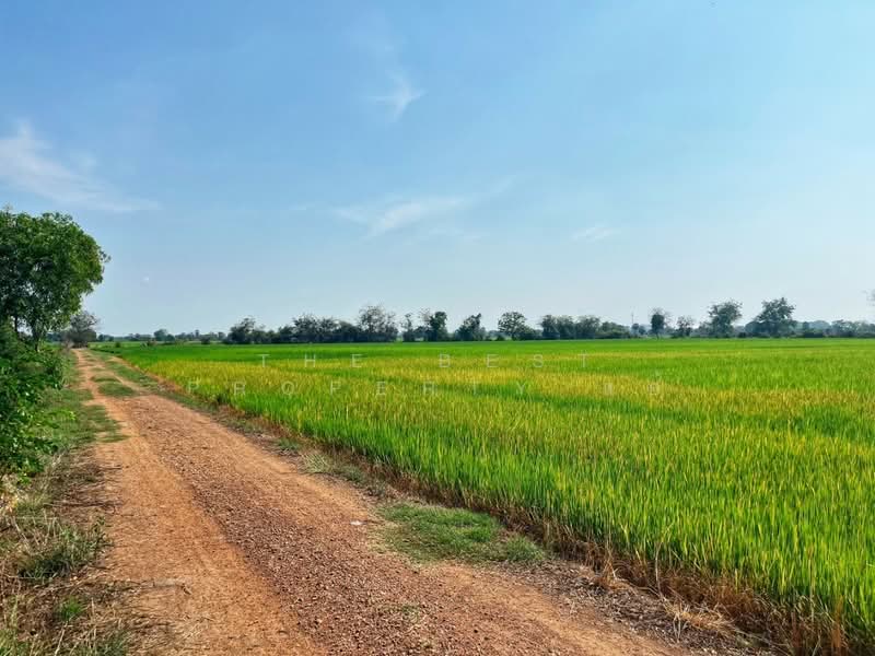 ที่ดินสรรคบุรี ชัยนาท, ชัยนาท, สรรพยา, สรรพยา, ชัยนาท, 9,600 ตร.ม., ที่ดิน ขาย, โดย The Best Property แอ้, 500168725 - DDproperty.com