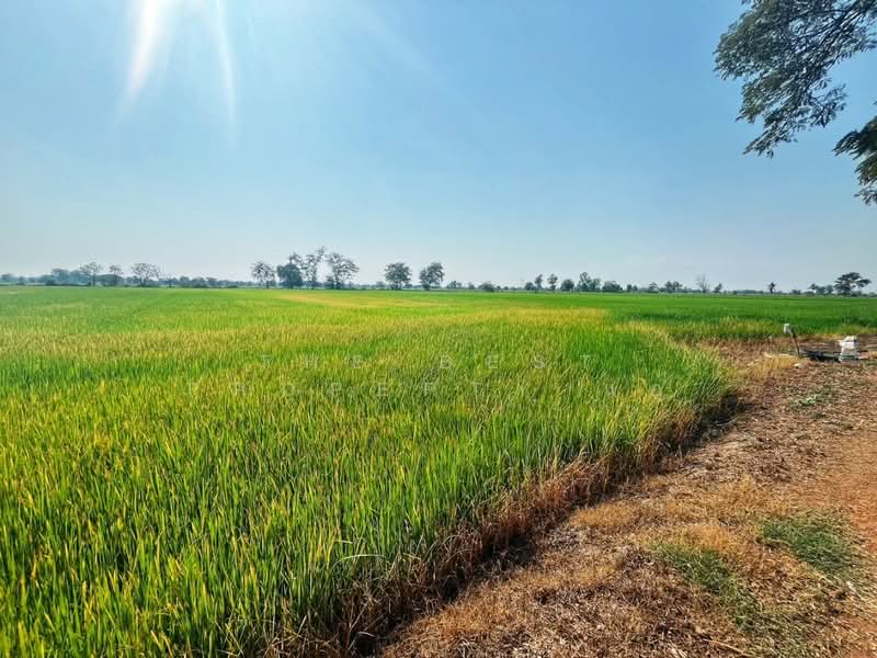 ที่ดินสรรคบุรี ชัยนาท, ชัยนาท, สรรพยา, สรรพยา, ชัยนาท, 9,600 ตร.ม., ที่ดิน ขาย, โดย The Best Property แอ้, 500168725 - DDproperty.com