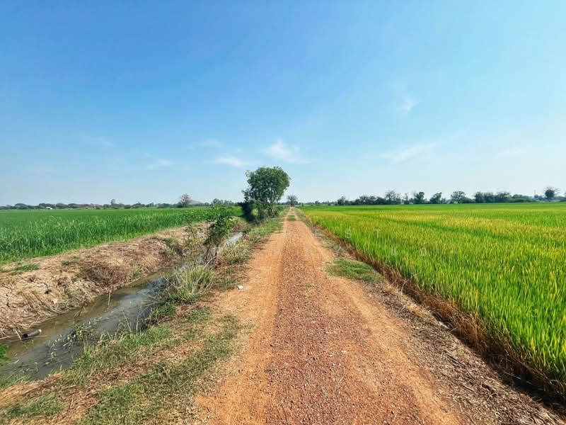 ที่ดินสรรคบุรี ชัยนาท, ชัยนาท, สรรพยา, สรรพยา, ชัยนาท, 9,600 ตร.ม., ที่ดิน ขาย, โดย The Best Property แอ้, 500168725 - DDproperty.com