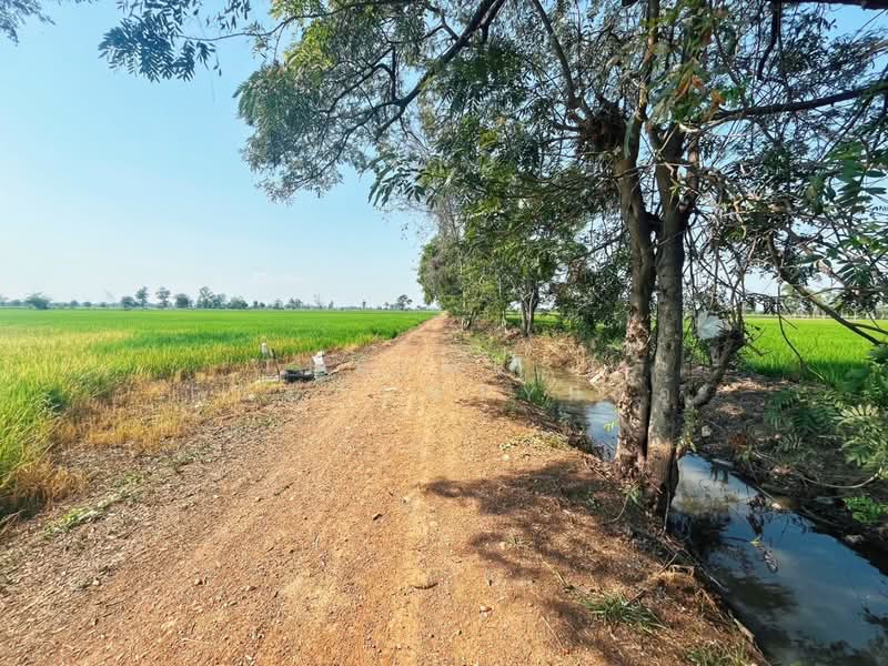 ที่ดินสรรคบุรี ชัยนาท, Chai Nat, Sanphaya, Sanphaya, Chai Nat, , 9,600 sqm, Land For Sale, by The Best Property แอ้, 500168725 - DDproperty.com