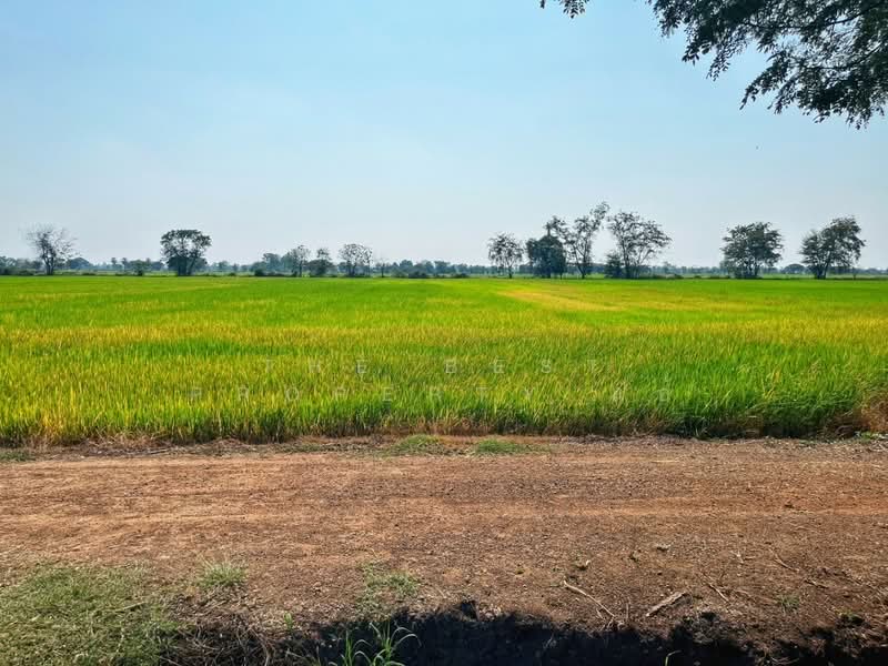 ที่ดินสรรคบุรี ชัยนาท, Chai Nat, Sanphaya, Sanphaya, Chai Nat, , 9,600 sqm, Land For Sale, by The Best Property แอ้, 500168725 - DDproperty.com