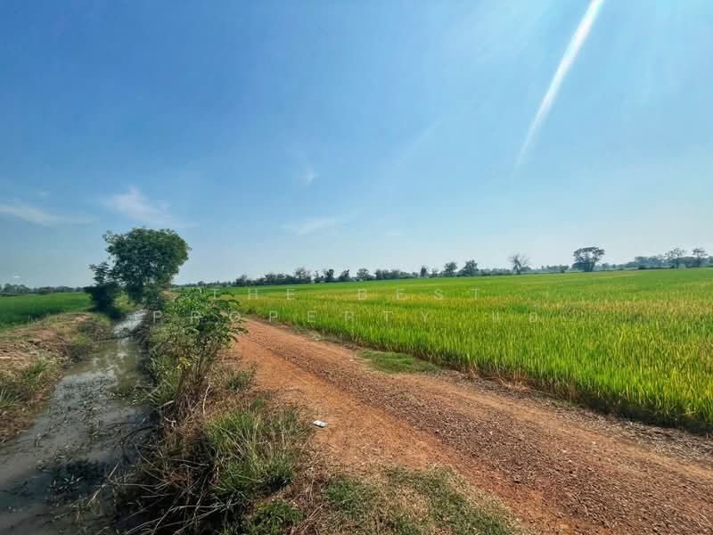 ที่ดินสรรคบุรี ชัยนาท, Chai Nat, Sanphaya, Sanphaya, Chai Nat, , 9,600 sqm, Land For Sale, by The Best Property แอ้, 500168725 - DDproperty.com