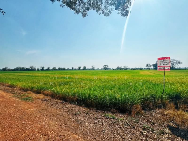 ที่ดินสรรคบุรี ชัยนาท, Chai Nat, Sanphaya, Sanphaya, Chai Nat, , 9,600 sqm, Land For Sale, by The Best Property แอ้, 500168725 - DDproperty.com