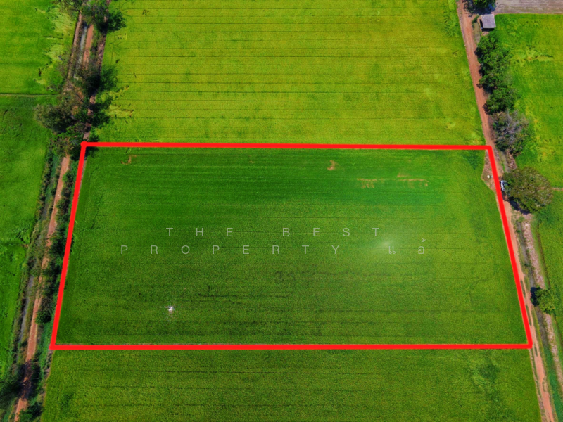 ที่ดินสรรคบุรี ชัยนาท, Chai Nat, Sanphaya, Sanphaya, Chai Nat, , 9,600 sqm, Land For Sale, by The Best Property แอ้, 500168725 - DDproperty.com