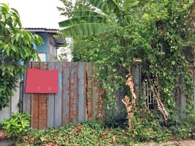 ขาย - ที่ดินปากเกร็ด นนทบุรี, นนทบุรี