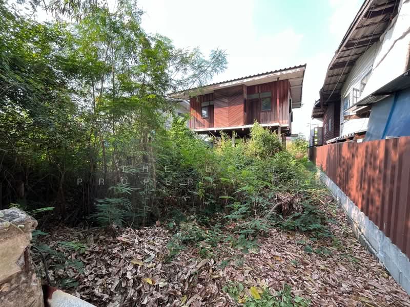 ที่ดินปากเกร็ด นนทบุรี, นนทบุรี, บ้านใหม่, ปากเกร็ด, นนทบุรี, 236 ตร.ม., ที่ดิน ขาย, โดย The Best Property รัตน์, 500168764 - DDproperty.com