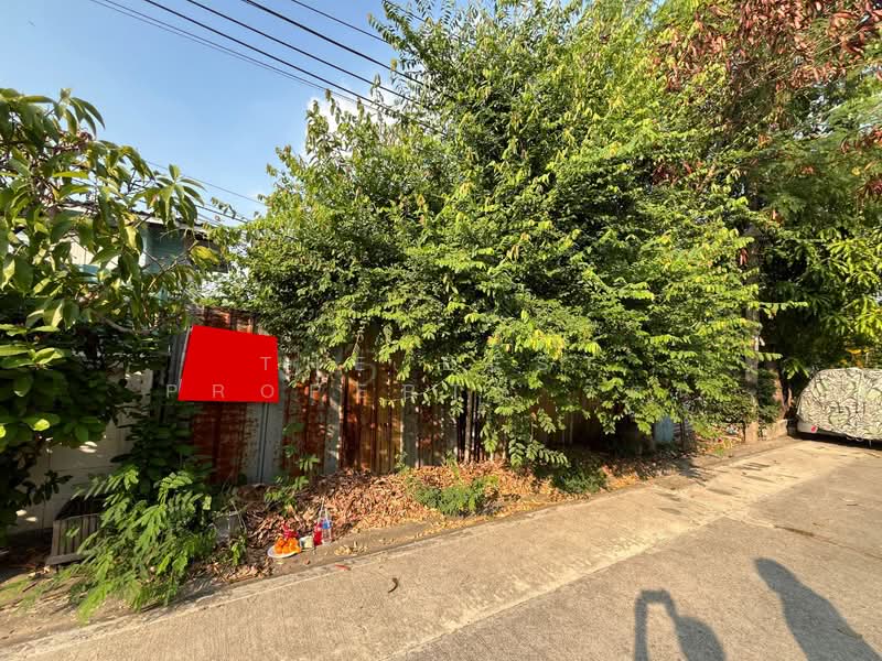 ที่ดินปากเกร็ด นนทบุรี, นนทบุรี, บ้านใหม่, ปากเกร็ด, นนทบุรี, 236 ตร.ม., ที่ดิน ขาย, โดย The Best Property รัตน์, 500168764 - DDproperty.com