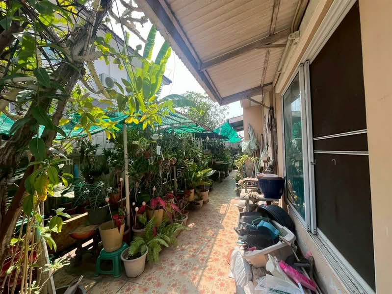 K.C. Park Ville 3, Bangkok, Sam Wa Tawan Tok, Khlong Sam Wa, Bangkok, 4 Bedrooms, 220 sqm, Single Detached House For Sale, by คุณ รัชนีกร จันทร์มา (อิม), 500168767 - DDproperty.com