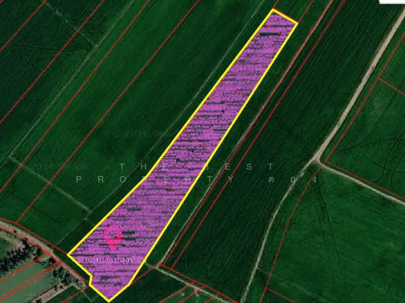 ที่ดินบางบ่อ สมุทรปราการ, Samut Prakan, Bang Phli Noi, Bang Bo, Samut Prakan, , 10,000 sqm, Land For Sale, by The Best Property ตอง, 500168783 - DDproperty.com