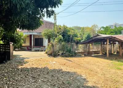 ขาย - ที่ดินพร้อมสิ่งปลูกสร้างหนองหอย เชียงใหม่, เชียงใหม่