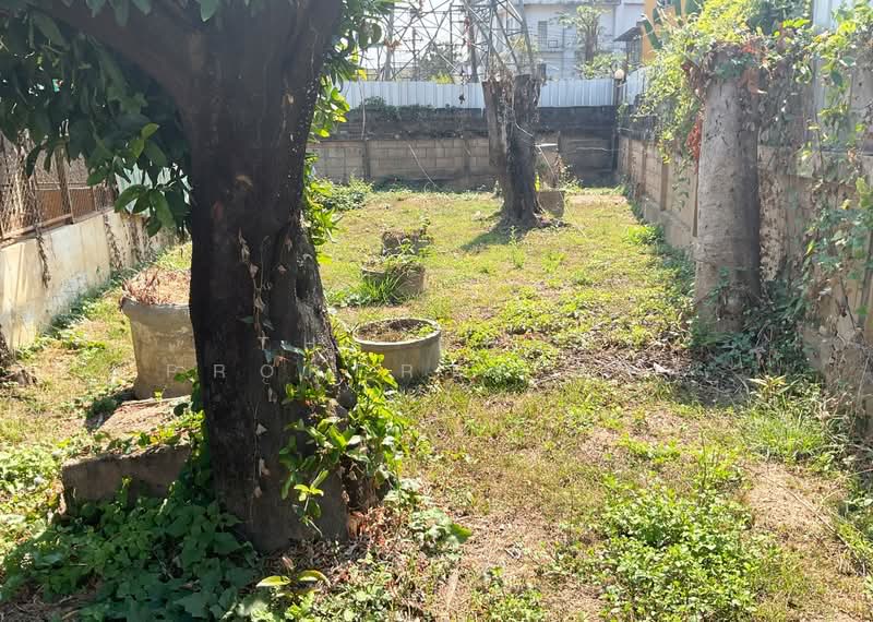 ที่ดินพร้อมสิ่งปลูกสร้างหนองหอย เชียงใหม่, Chiang Mai, Nong Hoi, Muang Chiang Mai, Chiang Mai, , 836 sqm, Land For Sale, by The Best Property เล็ก, 500168787 - DDproperty.com