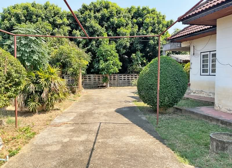 ที่ดินพร้อมสิ่งปลูกสร้างหนองหอย เชียงใหม่, Chiang Mai, Nong Hoi, Muang Chiang Mai, Chiang Mai, , 836 sqm, Land For Sale, by The Best Property เล็ก, 500168787 - DDproperty.com