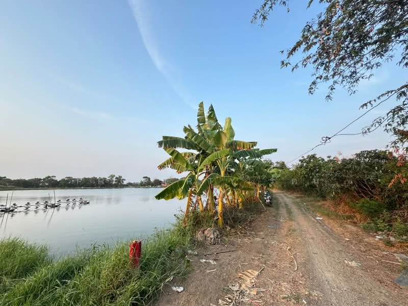 ที่ดินบางพลี สมุทรปราการ, Samut Prakan, Bang Pla, Bang Plee, Samut Prakan, , 4,000 sqm, Land For Sale, by The Best Property รัตน์, 500168803 - DDproperty.com