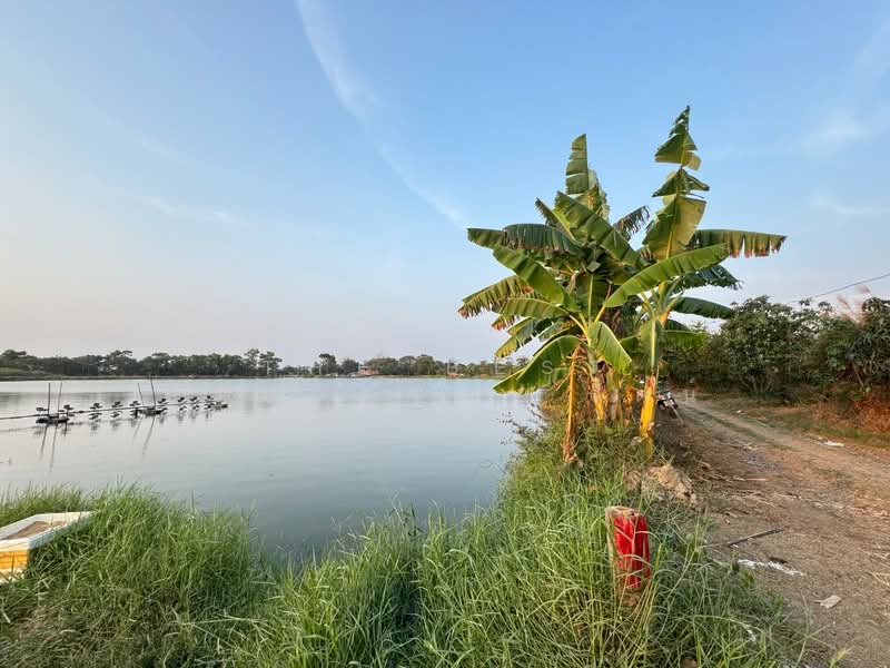 ที่ดินบางพลี สมุทรปราการ, Samut Prakan, Bang Pla, Bang Plee, Samut Prakan, , 4,000 sqm, Land For Sale, by The Best Property รัตน์, 500168803 - DDproperty.com