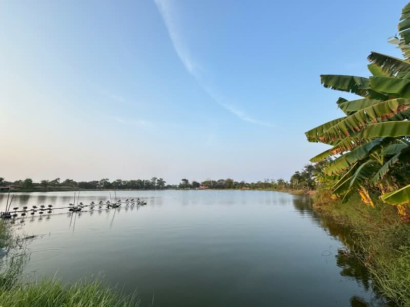 ที่ดินบางพลี สมุทรปราการ, Samut Prakan, Bang Pla, Bang Plee, Samut Prakan, , 4,000 sqm, Land For Sale, by The Best Property รัตน์, 500168803 - DDproperty.com