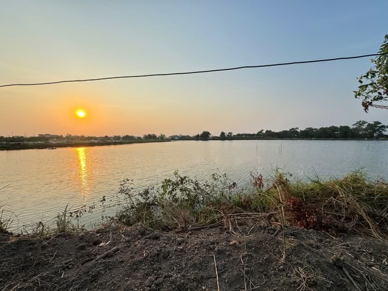 ที่ดินบางพลี สมุทรปราการ, Samut Prakan, Bang Pla, Bang Plee, Samut Prakan, , 4,000 sqm, Land For Sale, by The Best Property รัตน์, 500168803 - DDproperty.com