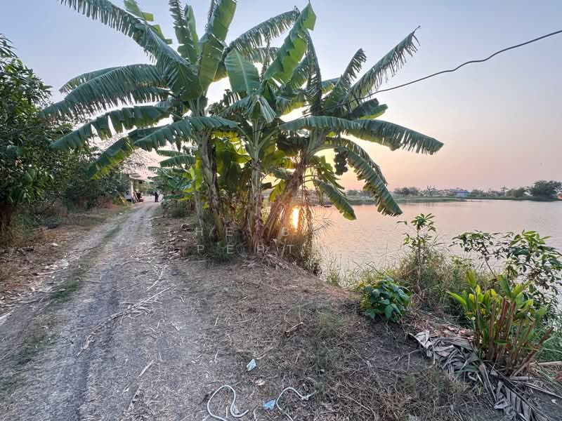 ที่ดินบางพลี สมุทรปราการ, Samut Prakan, Bang Pla, Bang Plee, Samut Prakan, , 4,000 sqm, Land For Sale, by The Best Property รัตน์, 500168803 - DDproperty.com