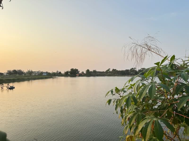 ที่ดินบางพลี สมุทรปราการ, Samut Prakan, Bang Pla, Bang Plee, Samut Prakan, , 4,000 sqm, Land For Sale, by The Best Property รัตน์, 500168803 - DDproperty.com