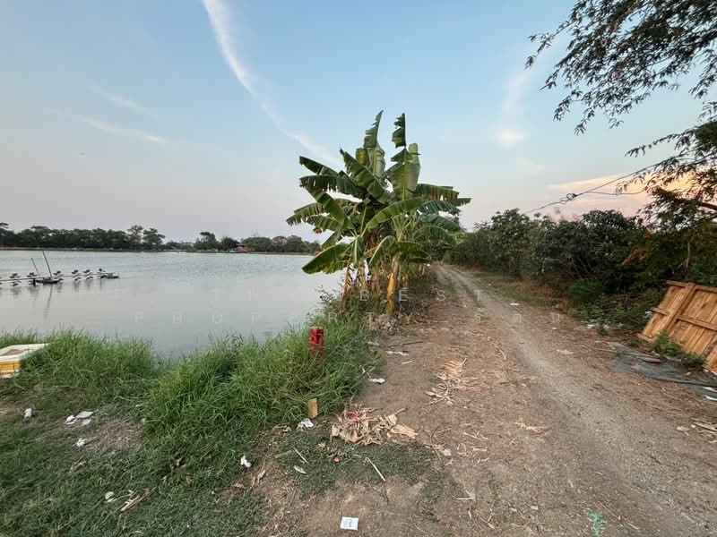 ที่ดินบางพลี สมุทรปราการ, Samut Prakan, Bang Pla, Bang Plee, Samut Prakan, , 4,000 sqm, Land For Sale, by The Best Property รัตน์, 500168803 - DDproperty.com