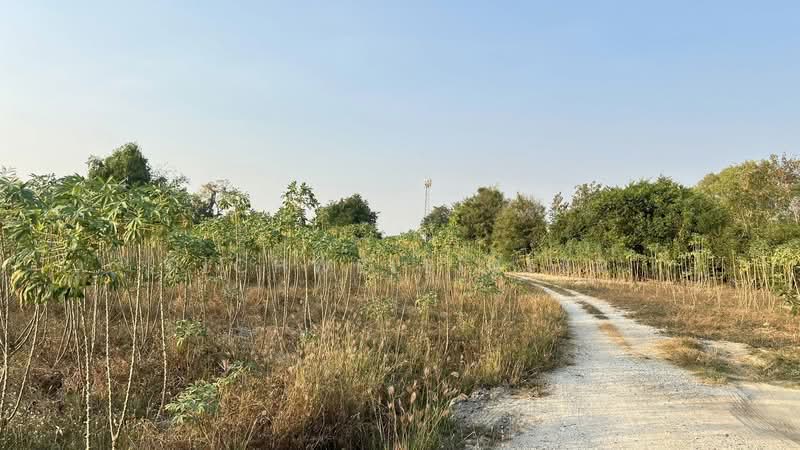 12 rai of land for sale in Thung Sukla, adjacent to a canal behind the Laem Chabang housing market,, Chon Buri (Pattaya), Thung Suk La, Si Racha, Chon Buri (Pattaya), , 20,280 sqm, Land For Sale, by richwellinter, 500168814 - DDproperty.com