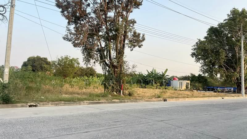 12 rai of land for sale in Thung Sukla, adjacent to a canal behind the Laem Chabang housing market,, Chon Buri (Pattaya), Thung Suk La, Si Racha, Chon Buri (Pattaya), , 20,280 sqm, Land For Sale, by richwellinter, 500168814 - DDproperty.com