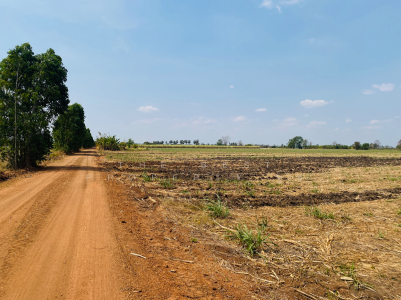 For Sale - ที่ดินหนองบุญมาก นครราชสีมา, Nakhon Ratchasima