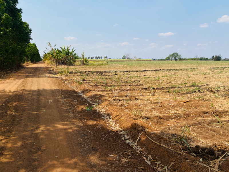 ขาย - ที่ดินหนองบุญมาก นครราชสีมา, นครราชสีมา