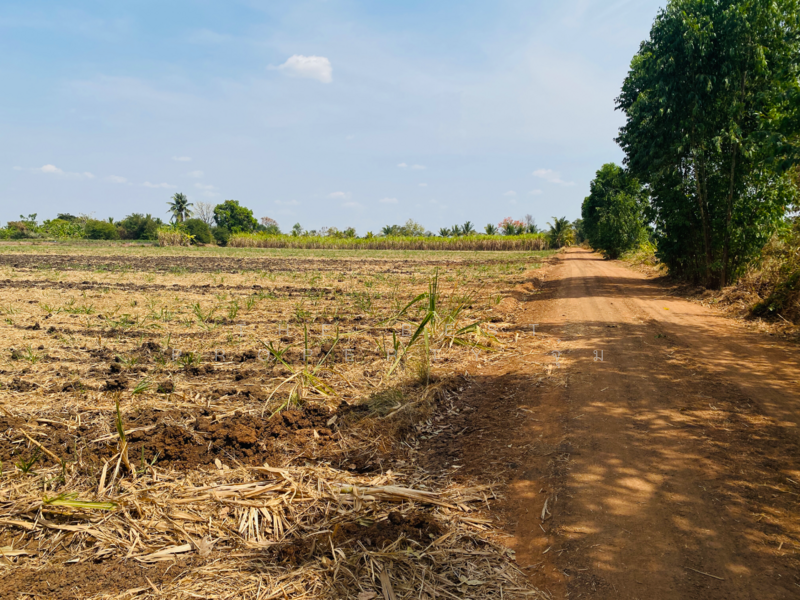 ขาย - ที่ดินหนองบุญมาก นครราชสีมา, นครราชสีมา