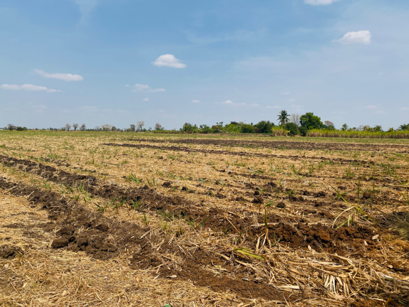 ขาย - ที่ดินหนองบุญมาก นครราชสีมา, นครราชสีมา
