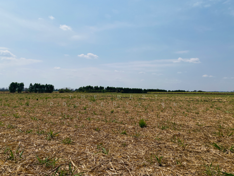 ขาย - ที่ดินหนองบุญมาก นครราชสีมา, นครราชสีมา