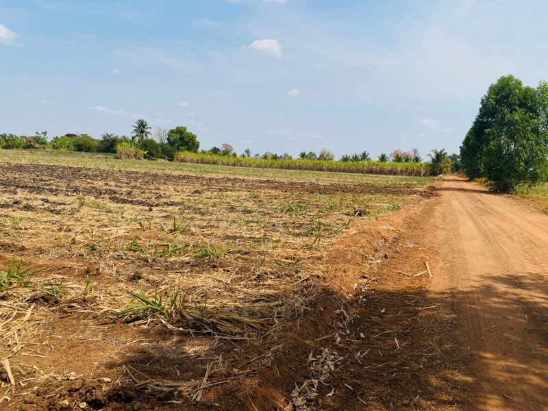 For Sale - ที่ดินหนองบุญมาก นครราชสีมา, Nakhon Ratchasima