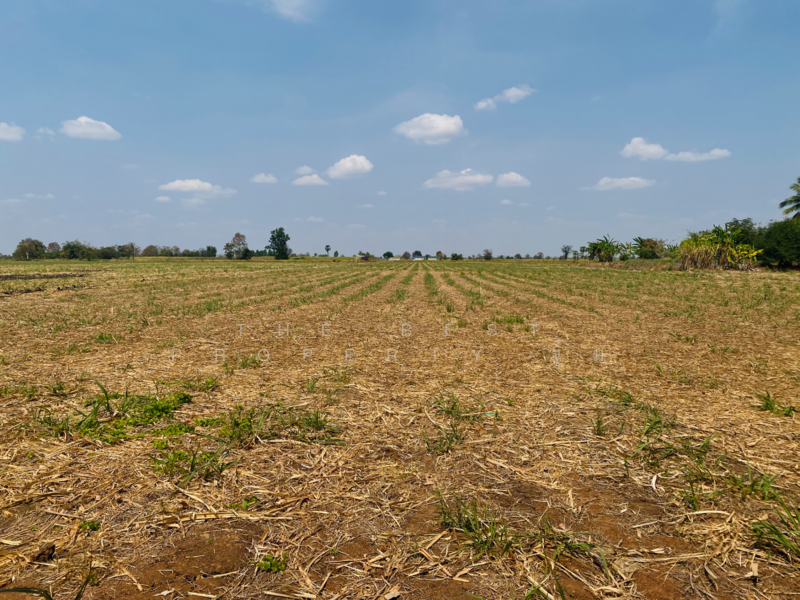 For Sale - ที่ดินหนองบุญมาก นครราชสีมา, Nakhon Ratchasima