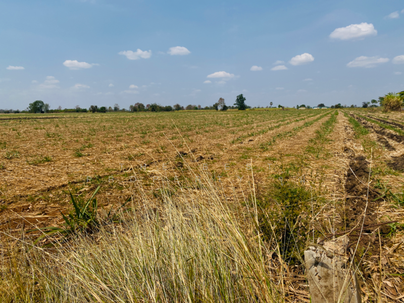 For Sale - ที่ดินหนองบุญมาก นครราชสีมา, Nakhon Ratchasima