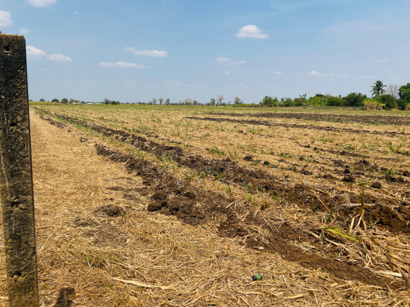 ขาย - ที่ดินหนองบุญมาก นครราชสีมา, นครราชสีมา