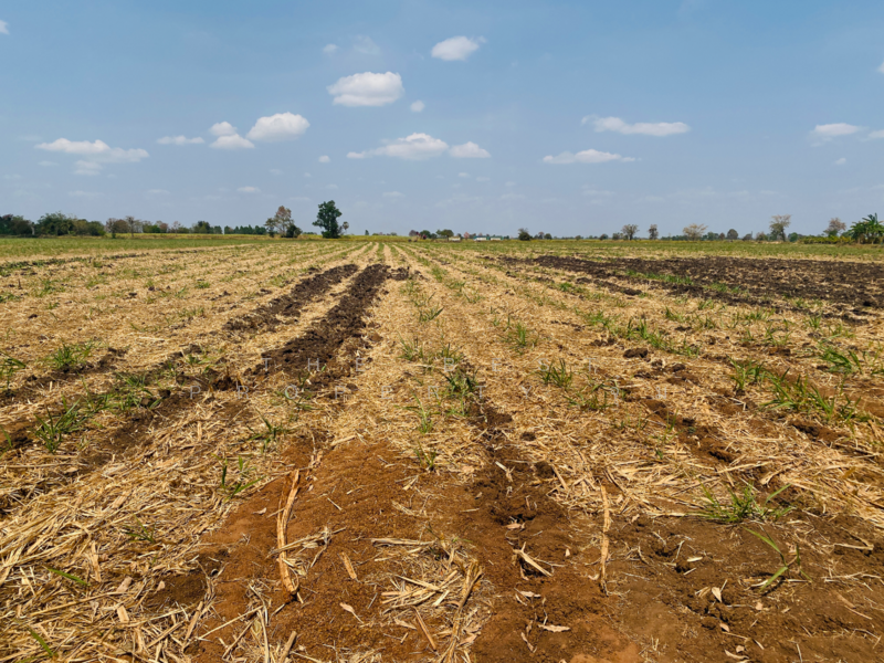 For Sale - ที่ดินหนองบุญมาก นครราชสีมา, Nakhon Ratchasima