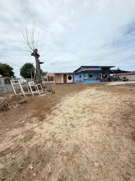 Land with existing buildings for sale in Nong Prue, Pattaya, 1 rai, Soi Maab Song Khai Muay 4, chon-buri, Bang Lamung, Bang Lamung (Pattaya), Chon Buri (Pattaya), , 1,668 sqm, Land For Sale, by richwellinter, 500168826 - DDproperty.com